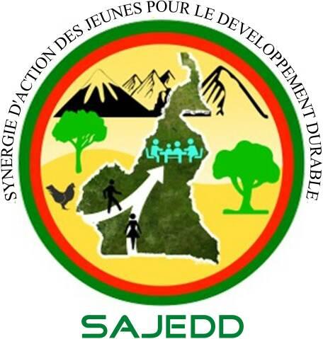 Sajeed | Mindif