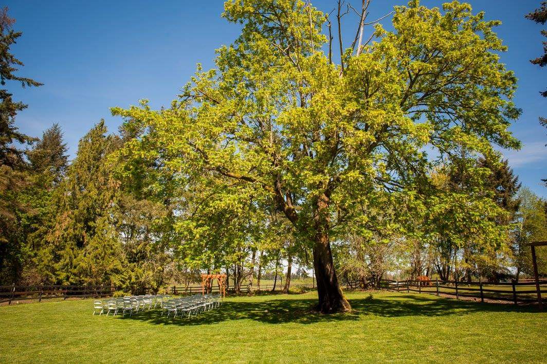 Devore Acres Venue | Roy WA