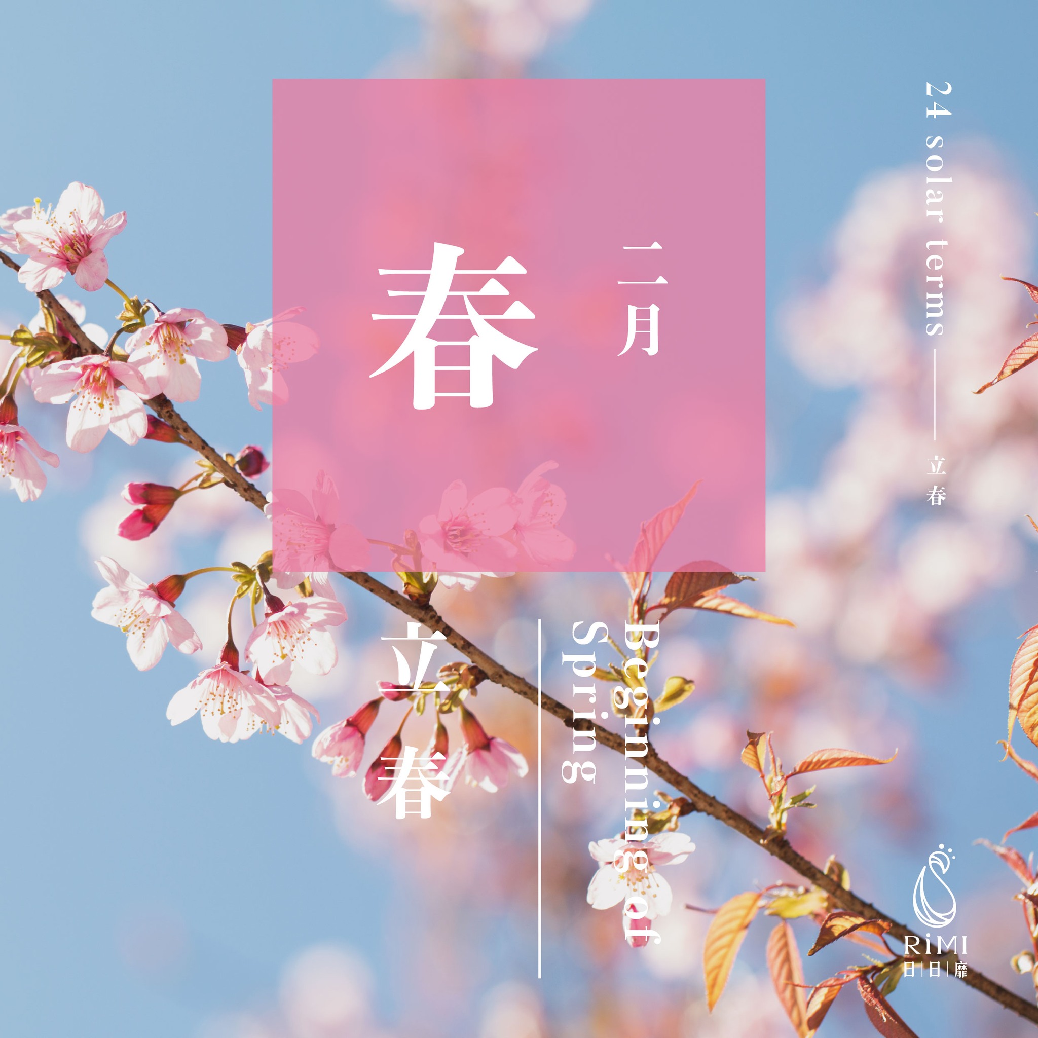 日日靡 旗艦館 - 立春 Beginning of Spring 🌿 立春，是新開始的溫柔提醒 🌱... | Facebook