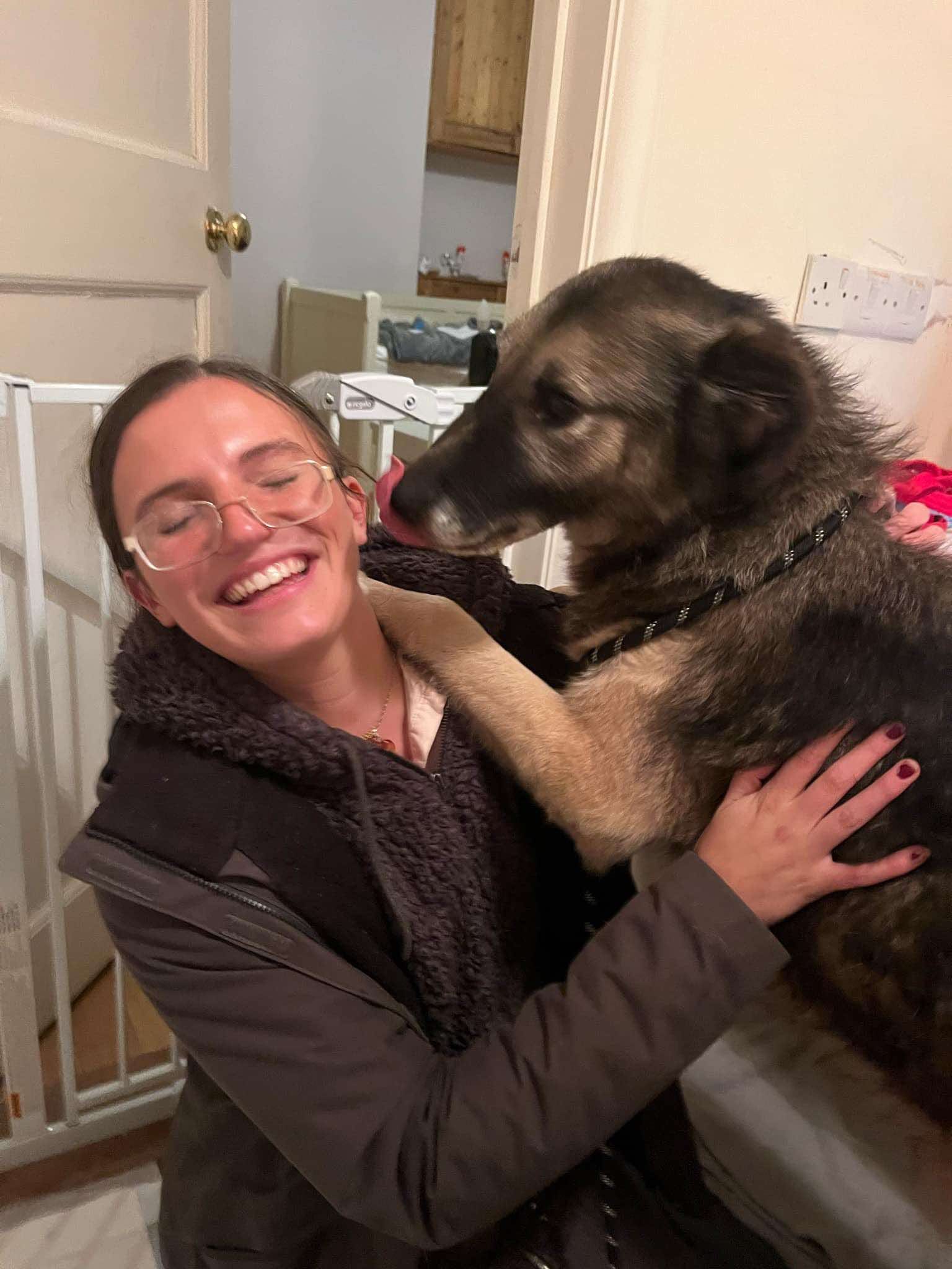 RRB - Dogs and Pets transport from Romania to Europe