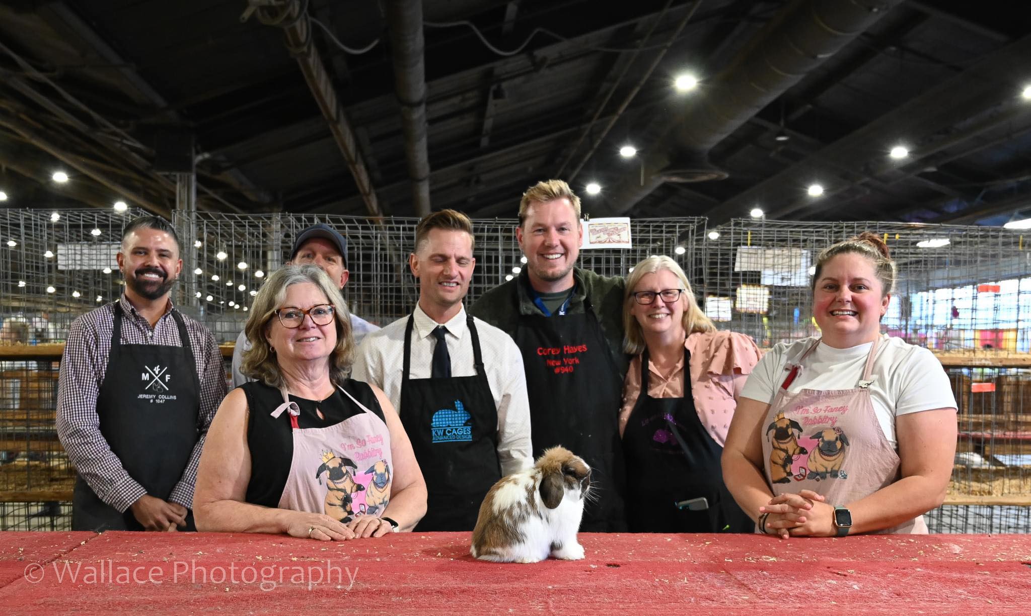 I'm So Fancy Rabbitry | Abbotsford BC