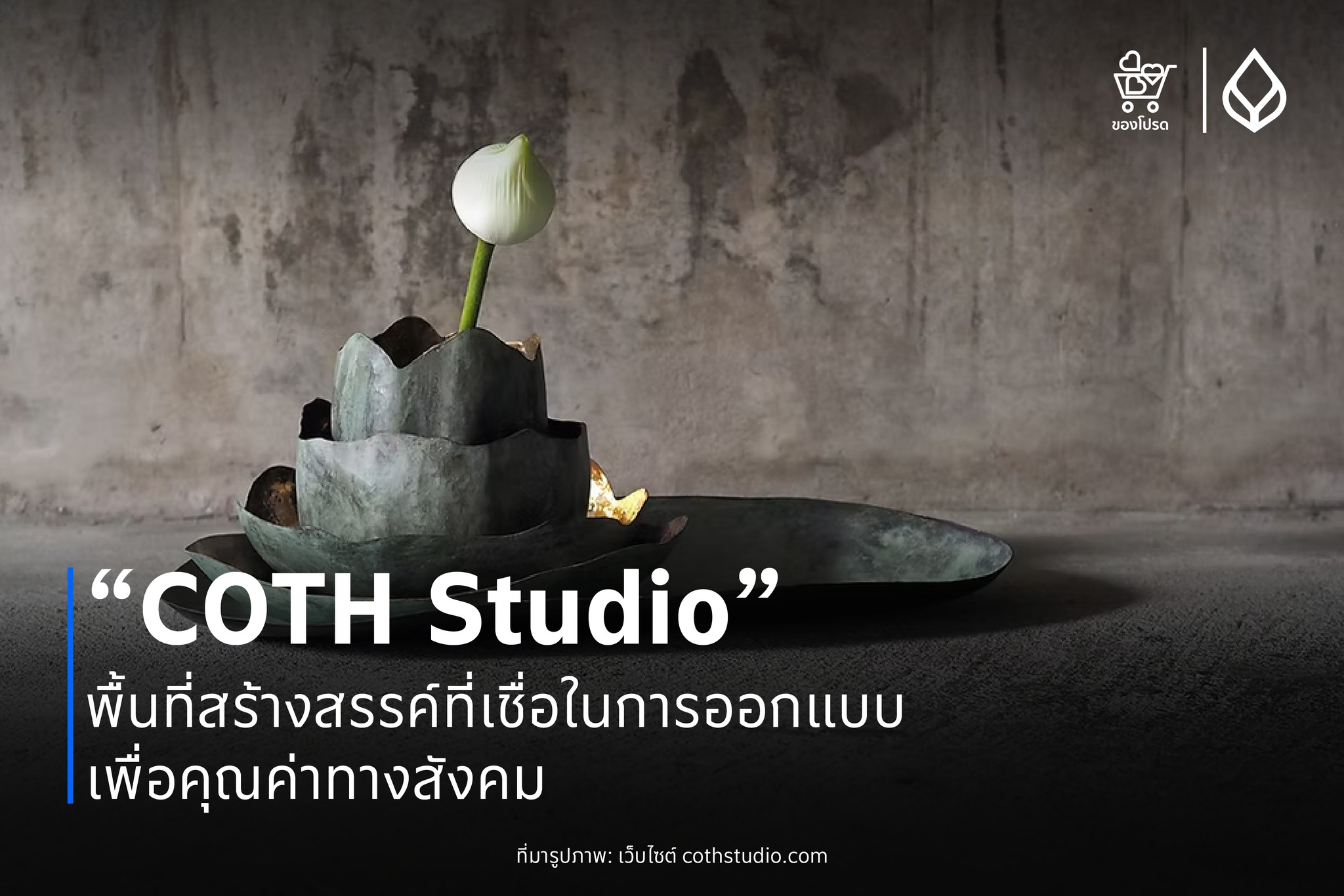 สุดโปรด - COTH Studio (Creative Collaboration Thailand) 🎨... | Facebook