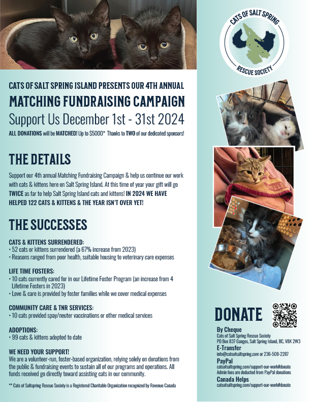 Cats of Salt Spring Rescue Society | Salt Spring Island BC