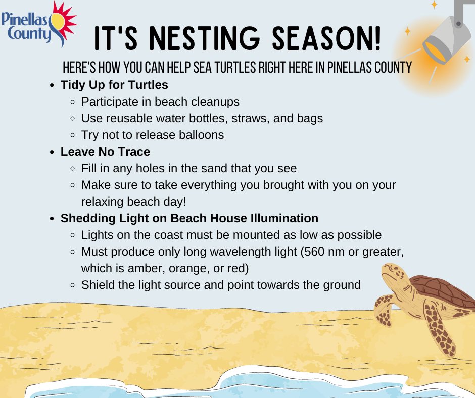 🐢☀️ Reminder: It’s sea... - City of St. Pete Beach, Florida | Facebook
