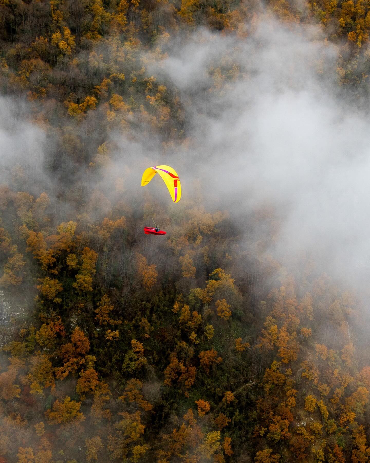 Even in the depths of fall's darkest days, the perfect colors are