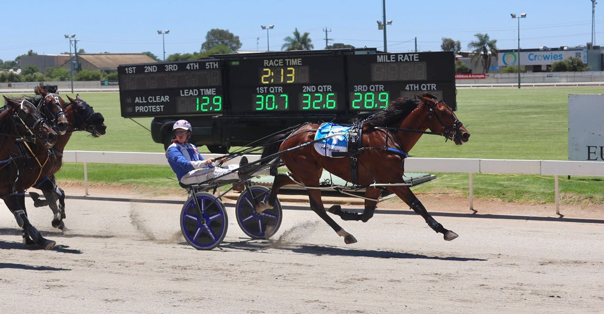 Ashwood Racing Stables