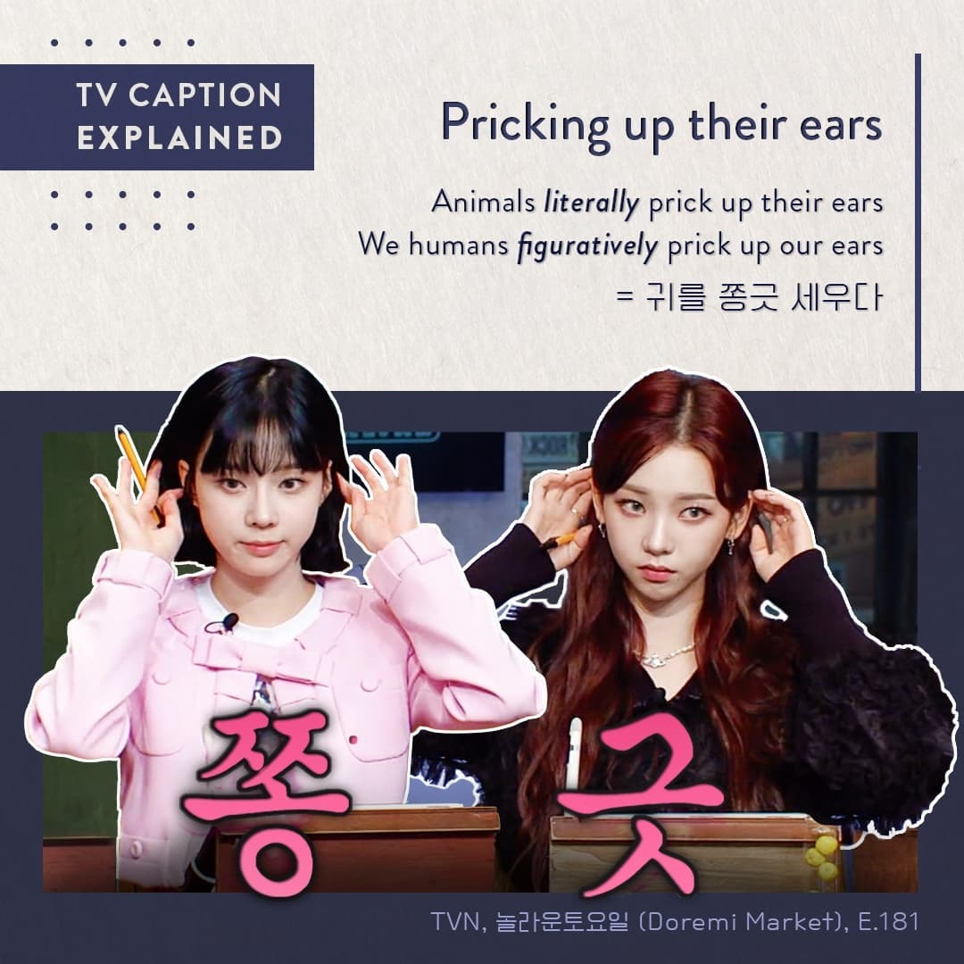 P:uum - [예능 자막] 쫑긋 aespa😍 #puumyourkorean #puum #aespa...