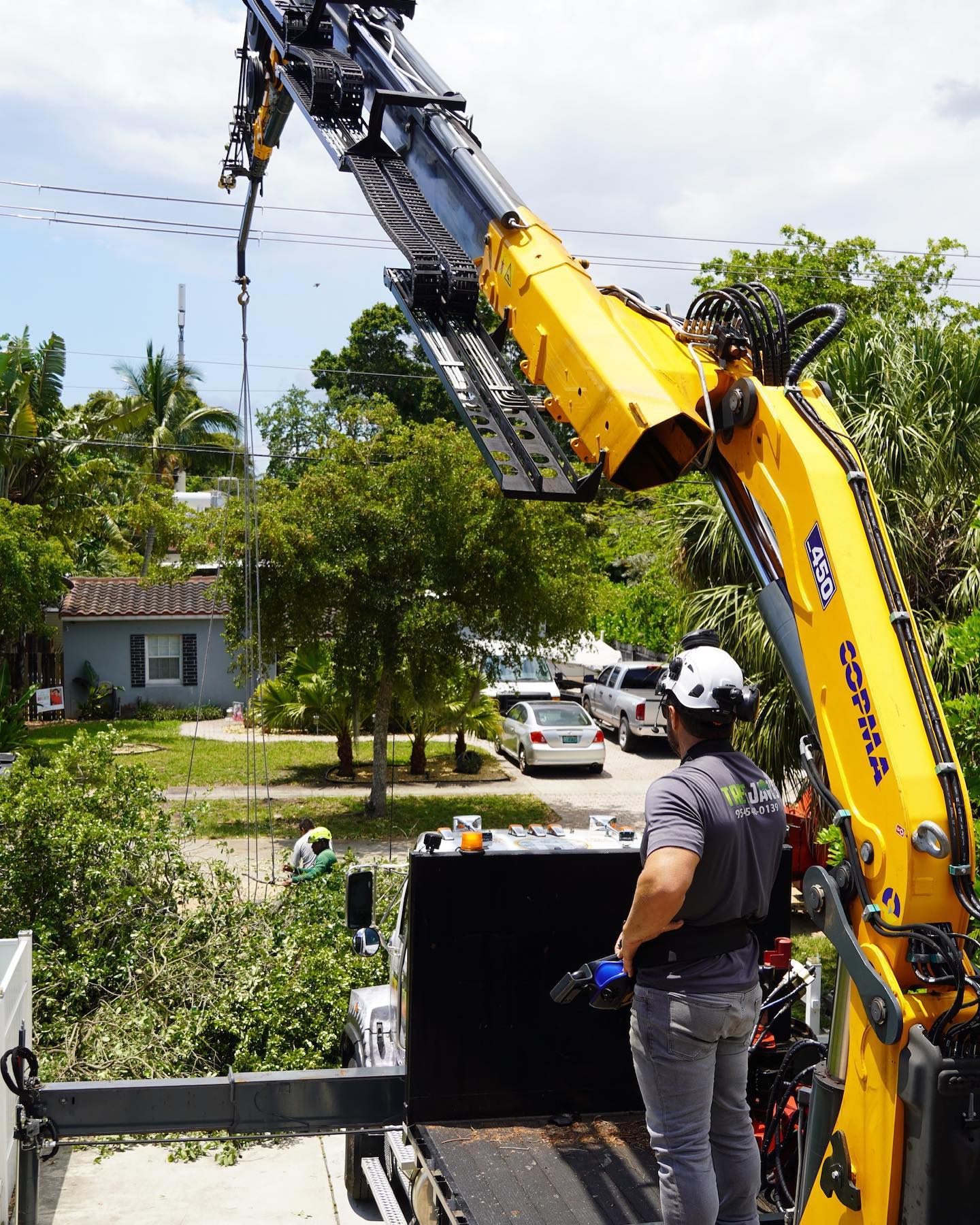COPMA Cranes - Tree Jaws is the pioneer of South Florida's... | Facebook