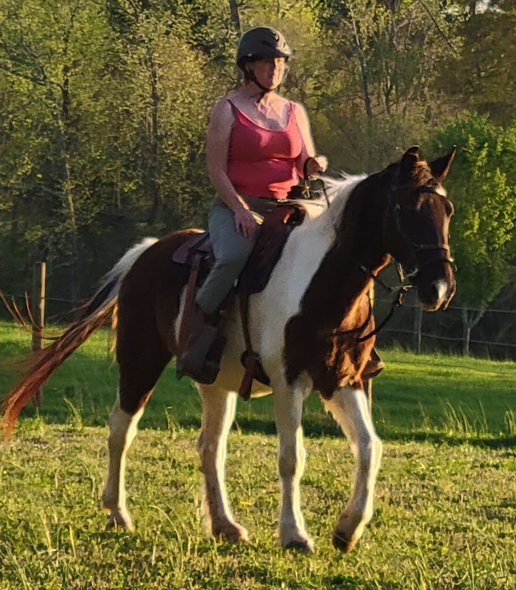 Red Arrow Ranch | Lilburn GA