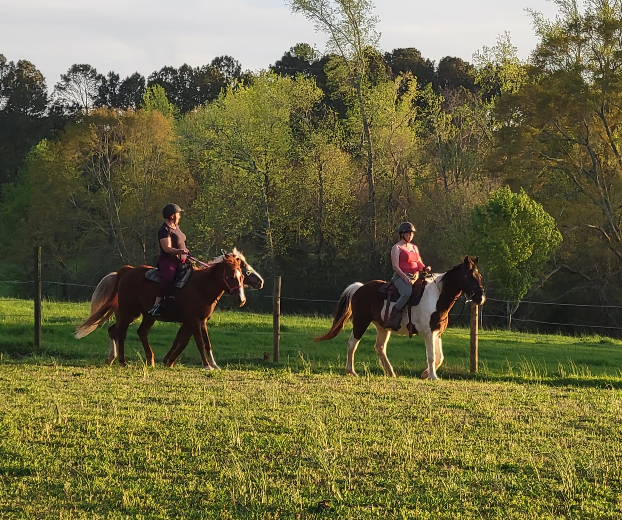 Red Arrow Ranch | Lilburn GA
