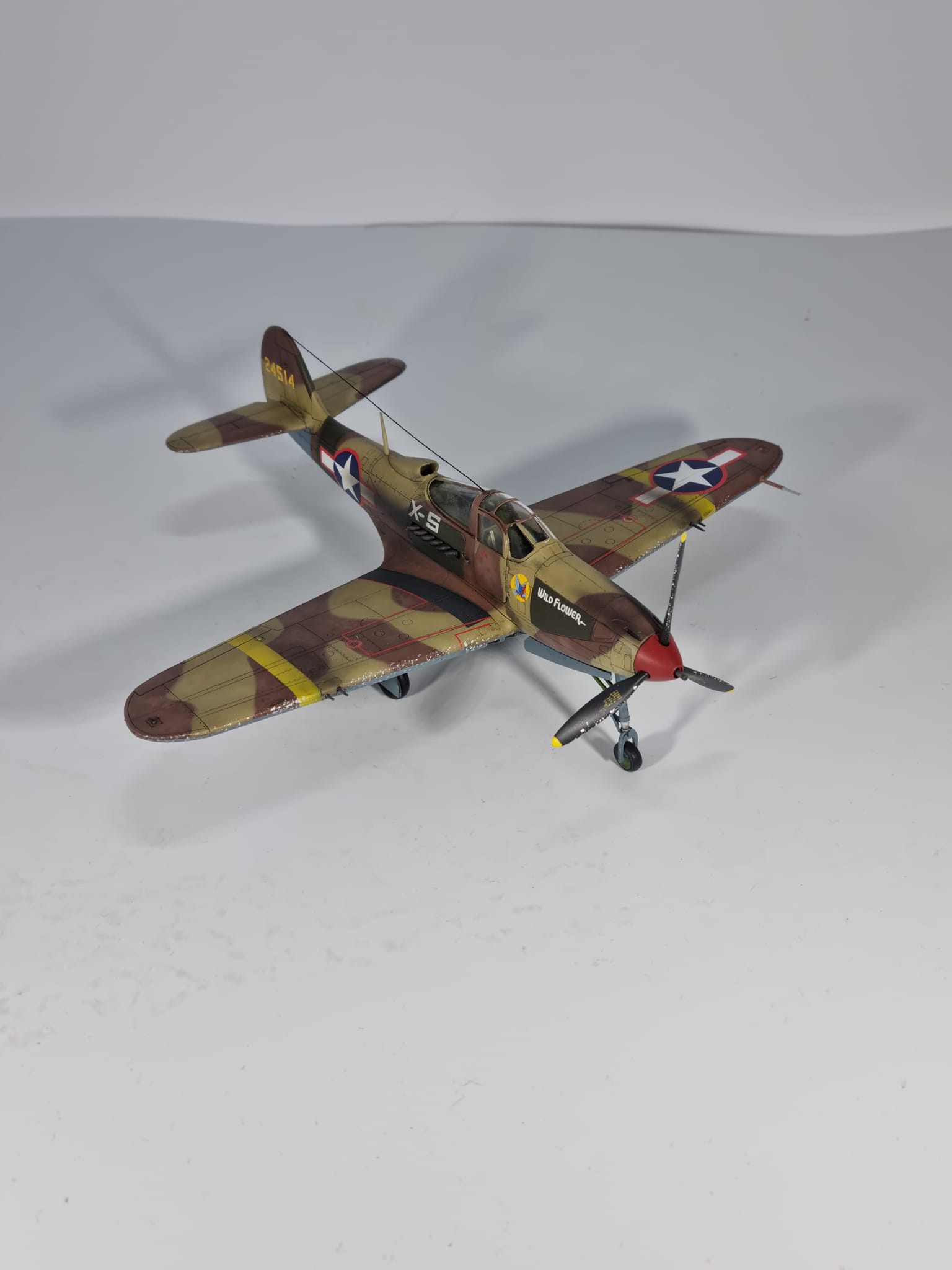 P-39 L Aircobra 91st FS / 81st FG, Sidi Ahmed Air Base, Tunesia
