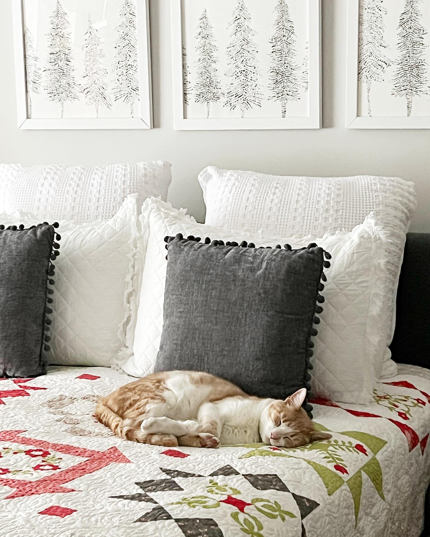 Tiggs isn’t one to miss out on a cozy... - Coriander Quilts | Facebook
