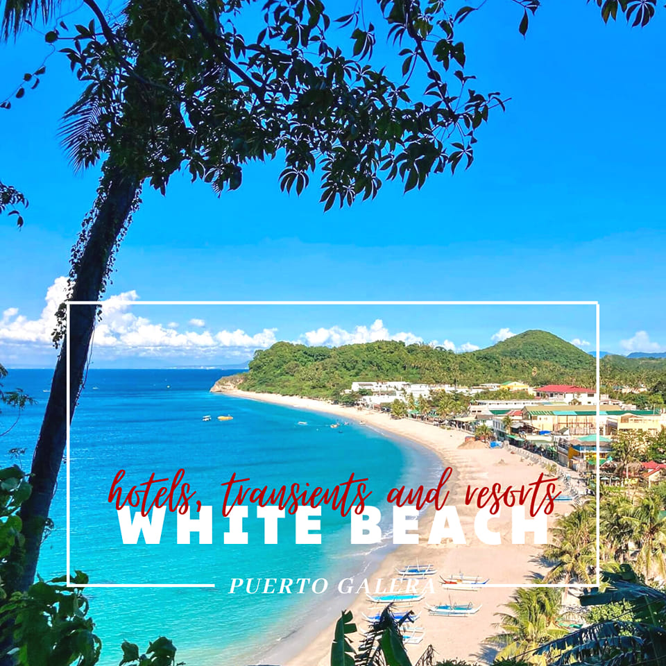 White Beach Puerto galera Hotel and Transient | PTPA. Looking for ...