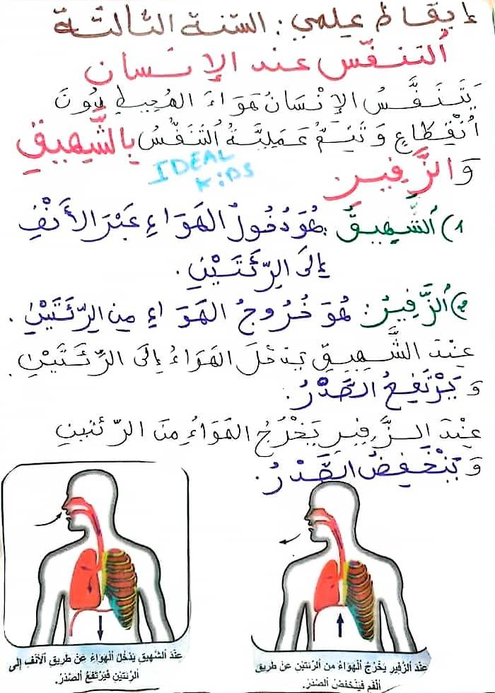 أتميّز س3 - إيقاظ دروس وامتحانات ث2