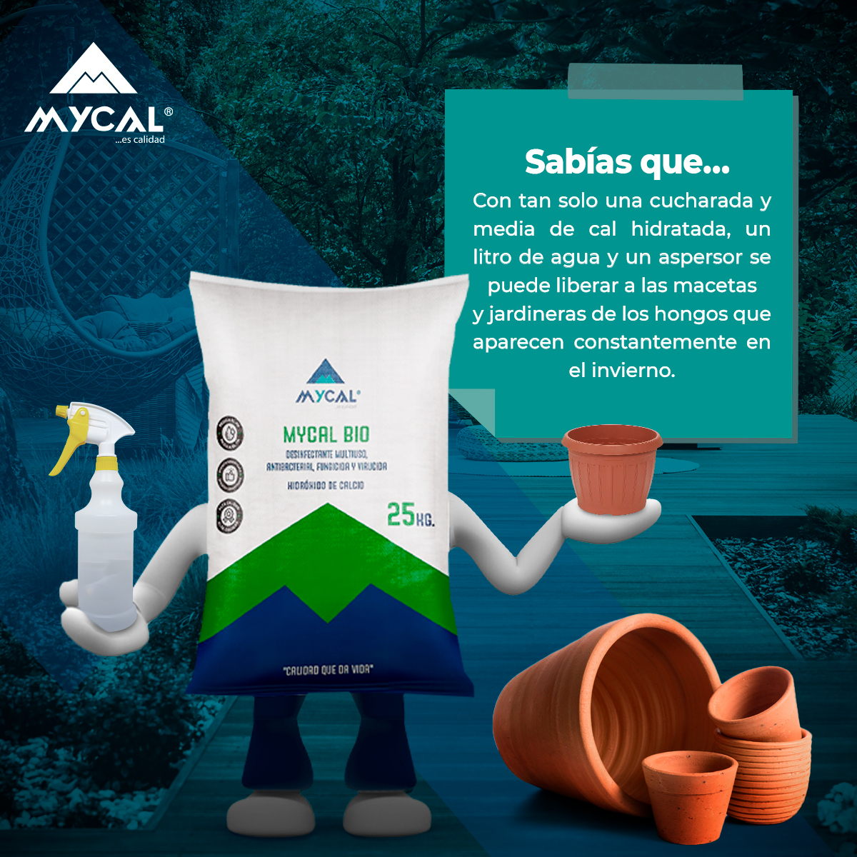 Mycal - ¿Sabías este dato? 🤔 ¡La Cal es maravillosa! 🤩 👉🏻... | Facebook