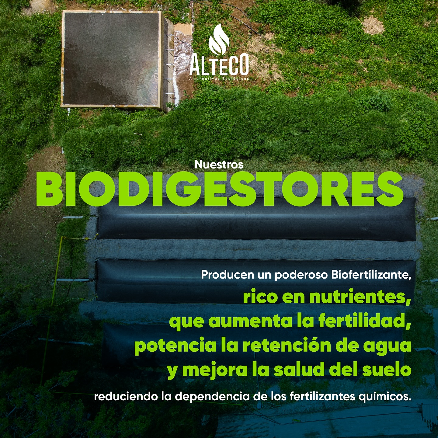 Alteco - Ahorra en grande 💰 produciendo tu propio fertilizante 🌱, con ...