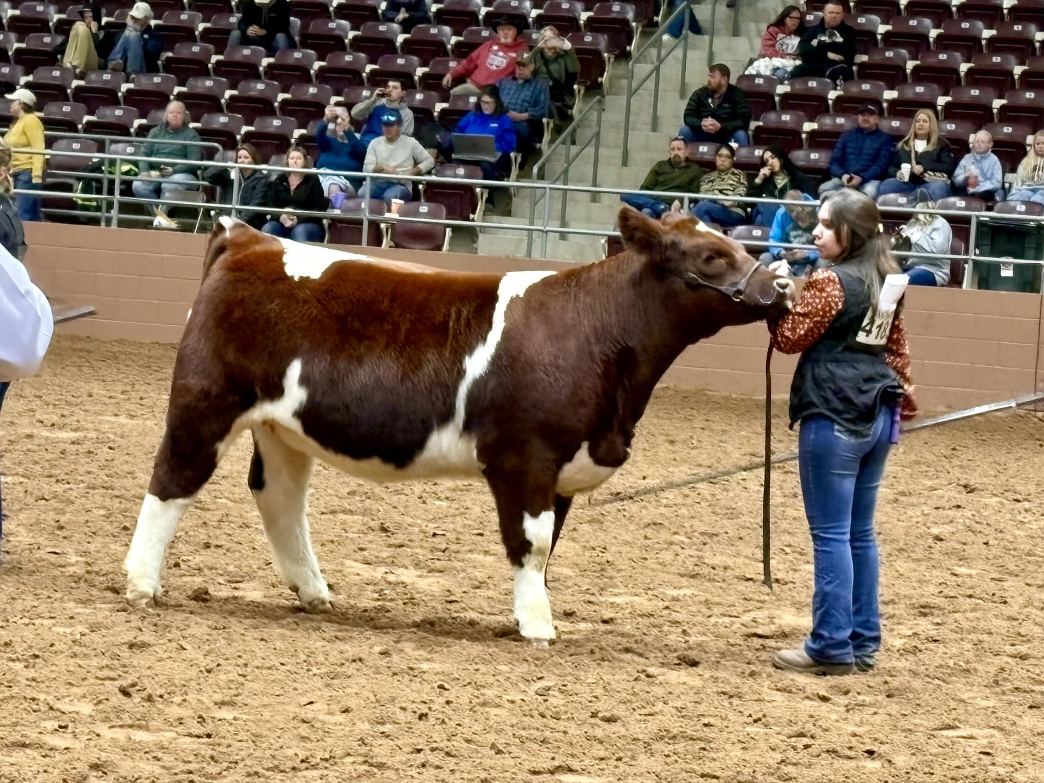 Potter County 4-H - Chloe Carlisle had a successful trip to the 2025 ...