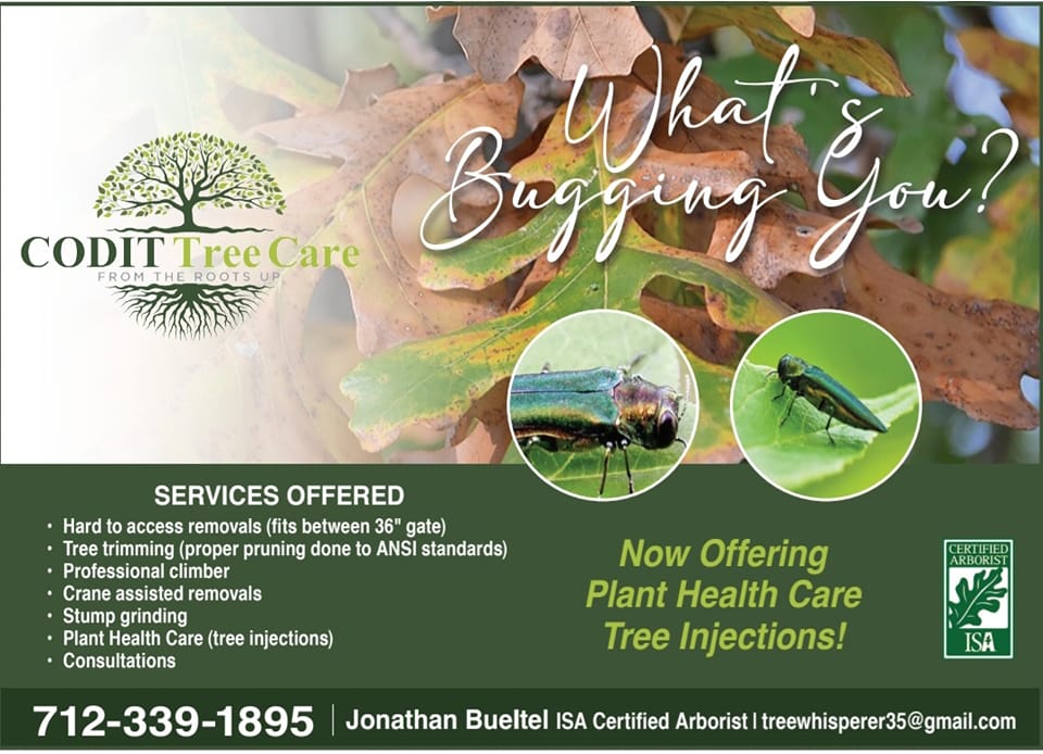 CODIT Tree Care | Okoboji IA