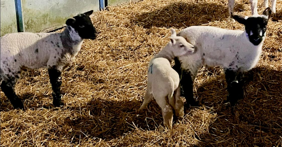 Ramridge Farm | Hitchin