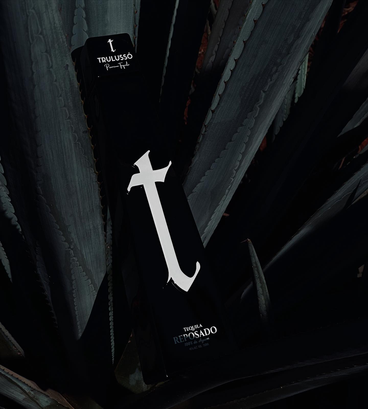 Trulusso Group | Houston TX