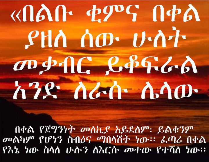 Mitiku Muanenda