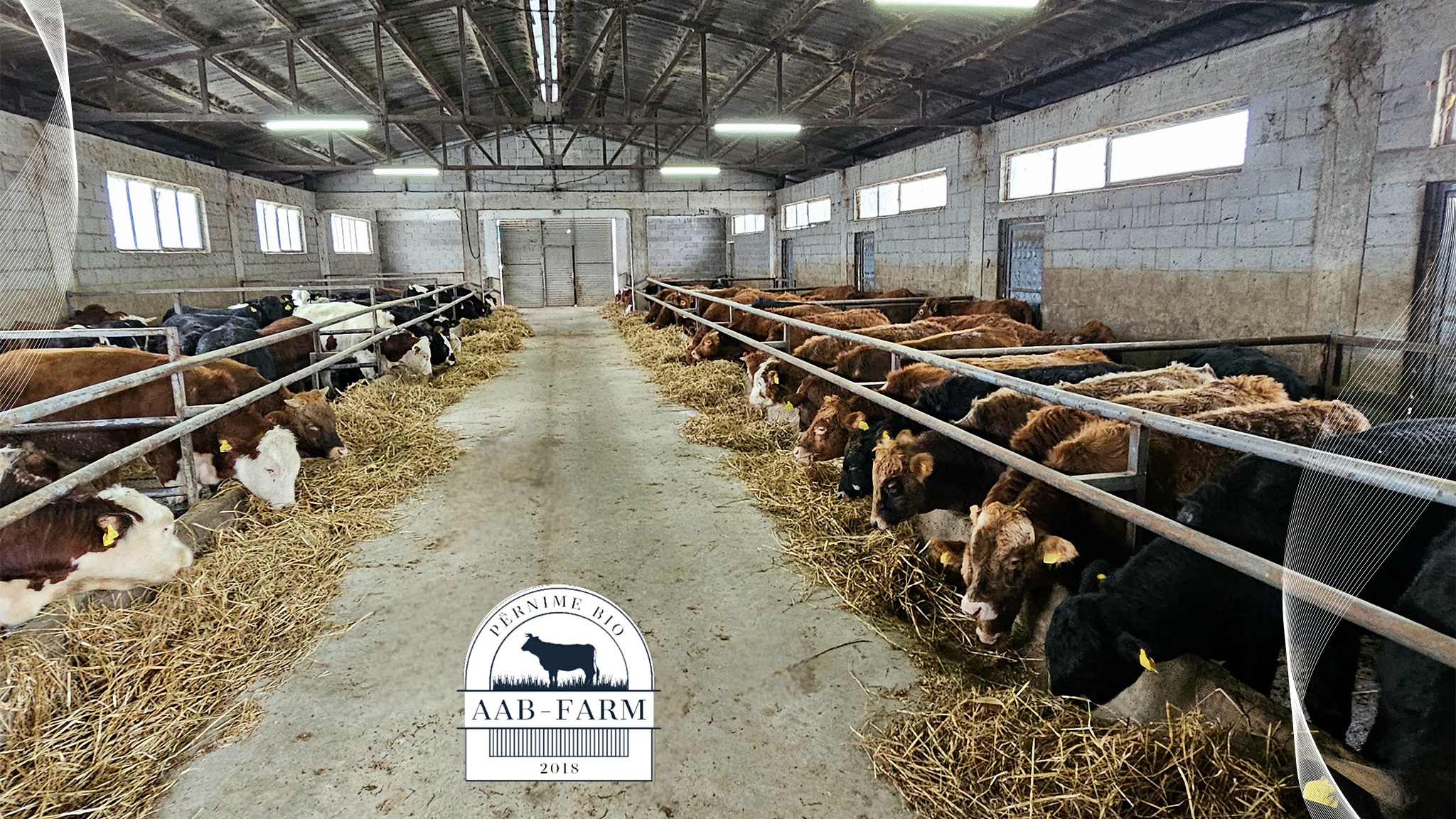 AAB-Farm | Suharekë