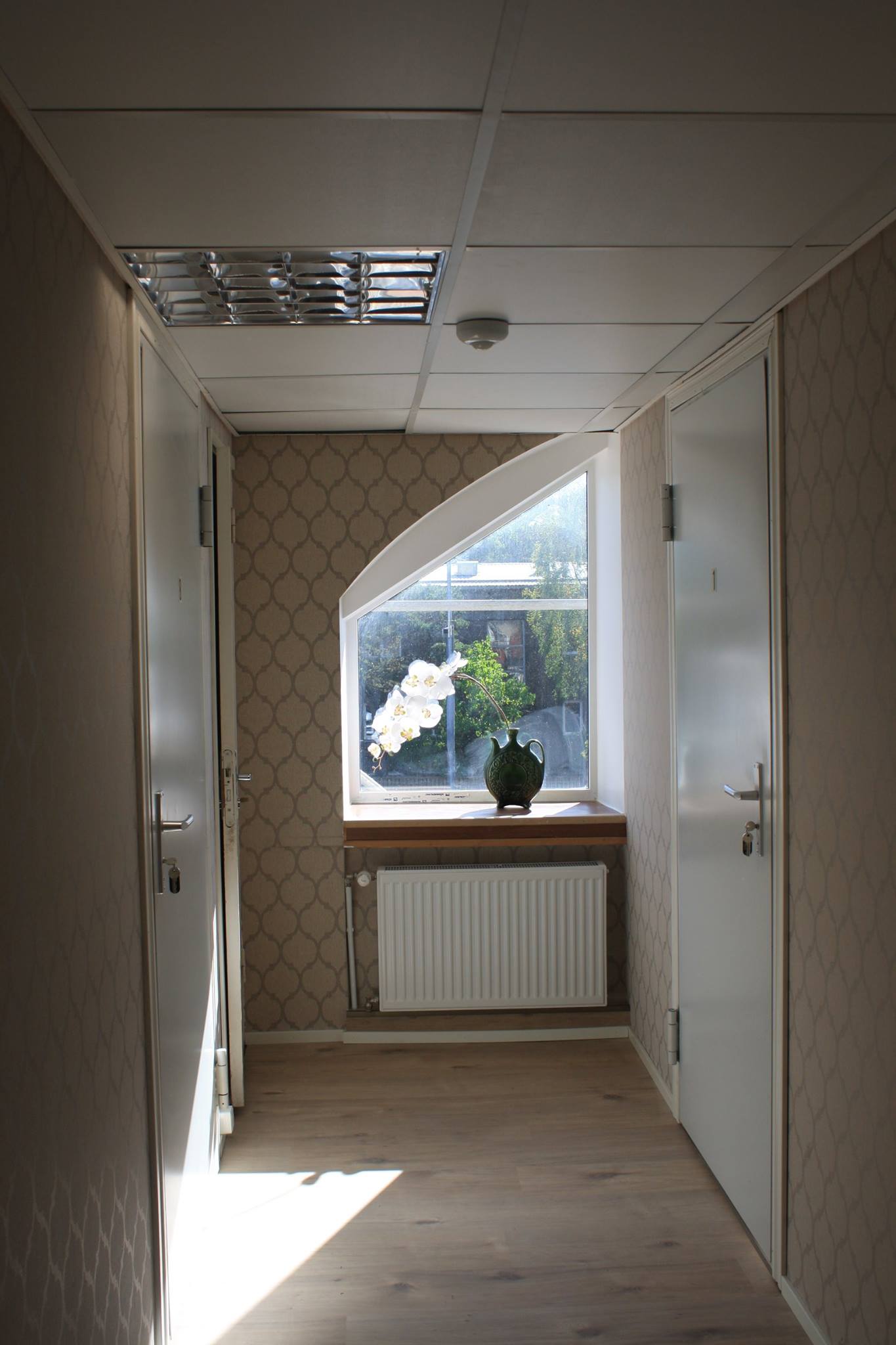 Kannikese apartments | Tallinn