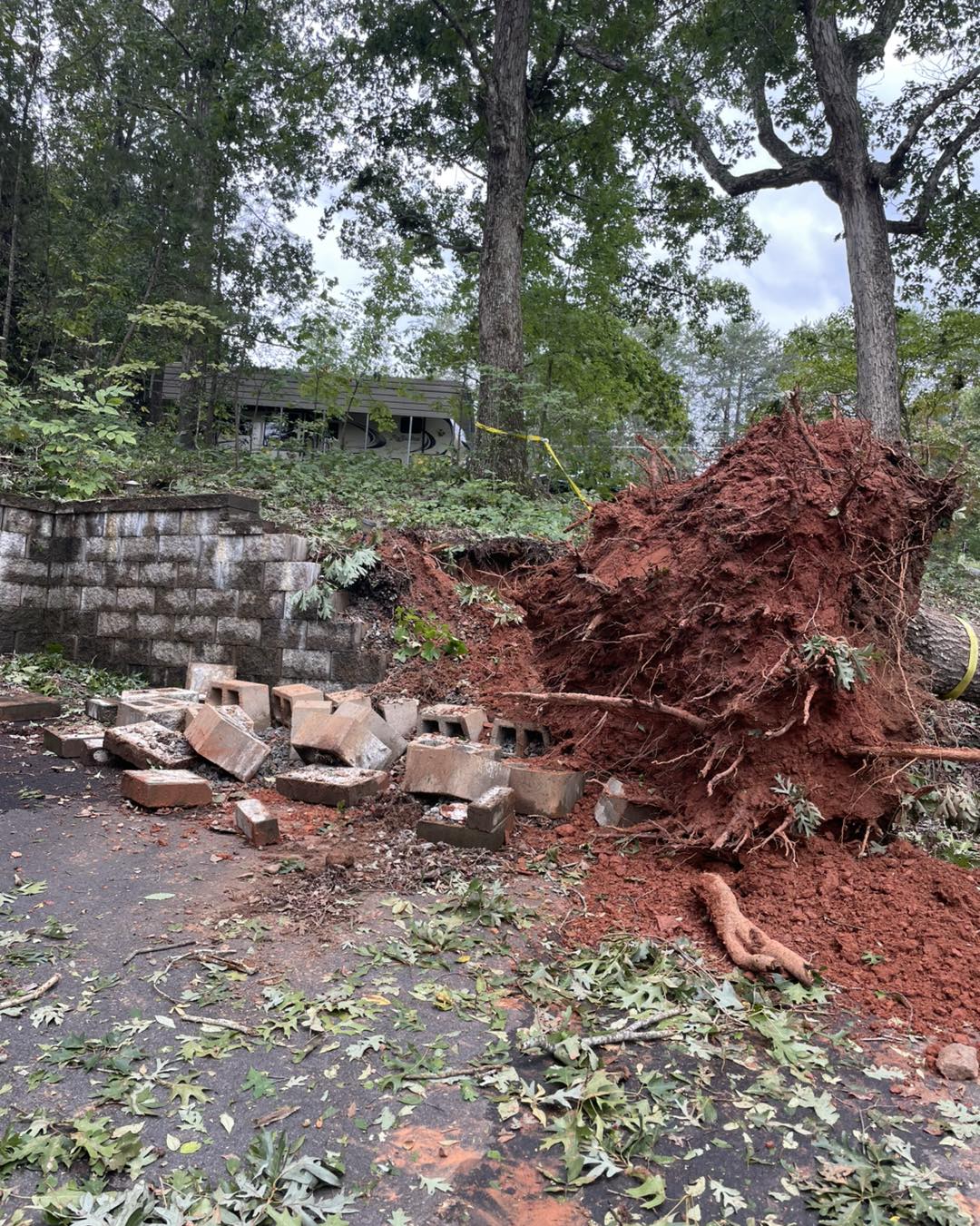 Roots & Ridges Outdoor Solutions | Spartanburg SC