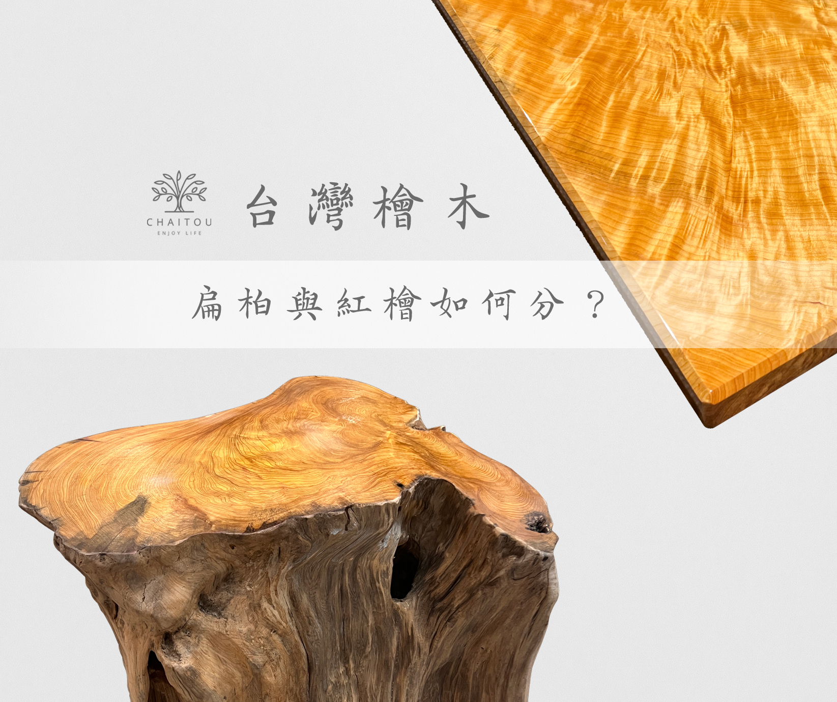 摩里沙卡 - 台灣檜木珍稀又迷人 🌲🌲 台灣常見檜木分別是 #黃檜 和 #紅檜 ！... | Facebook