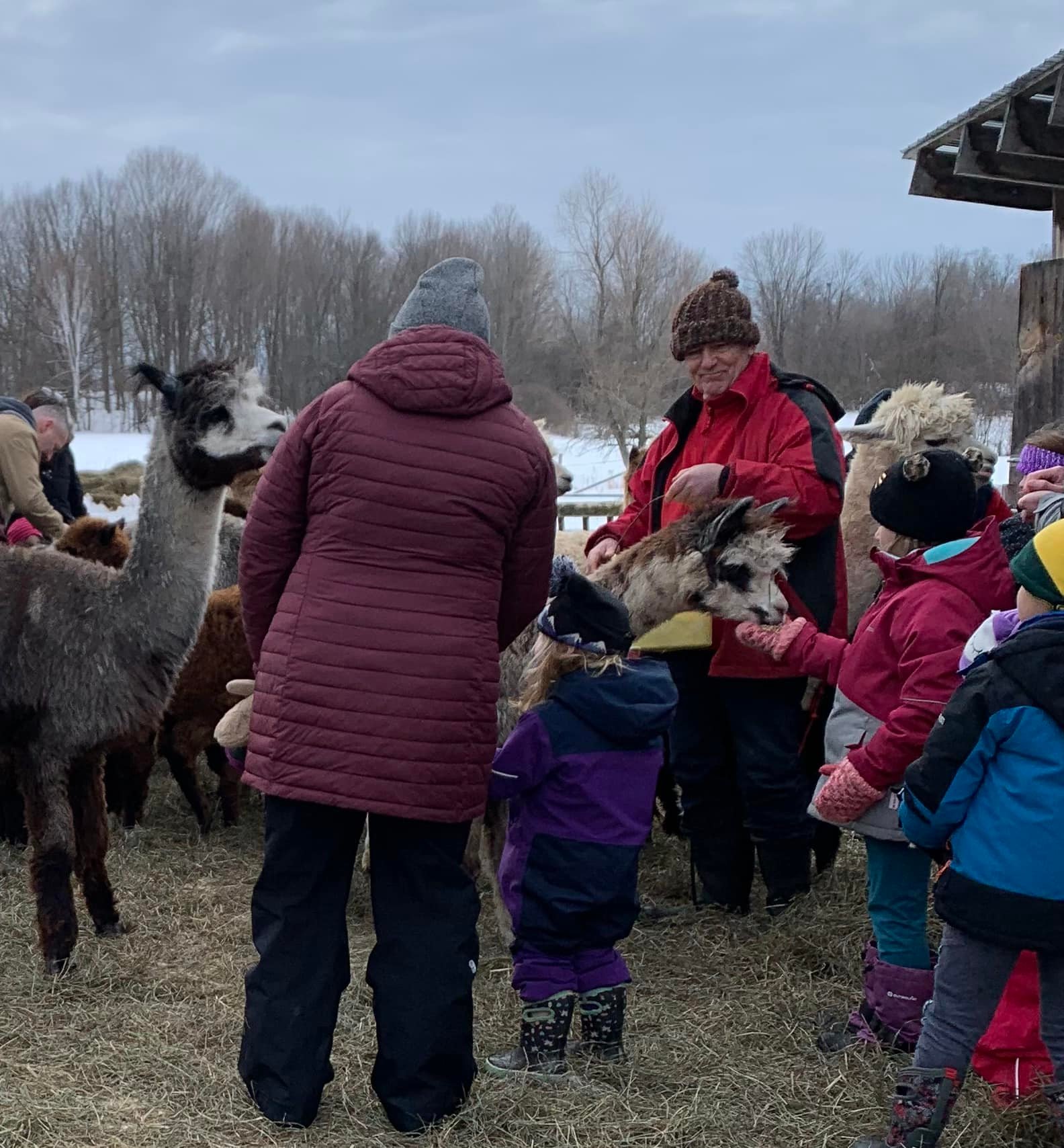 The Paca Shack - A lot of fun (for kids young and old ) at...