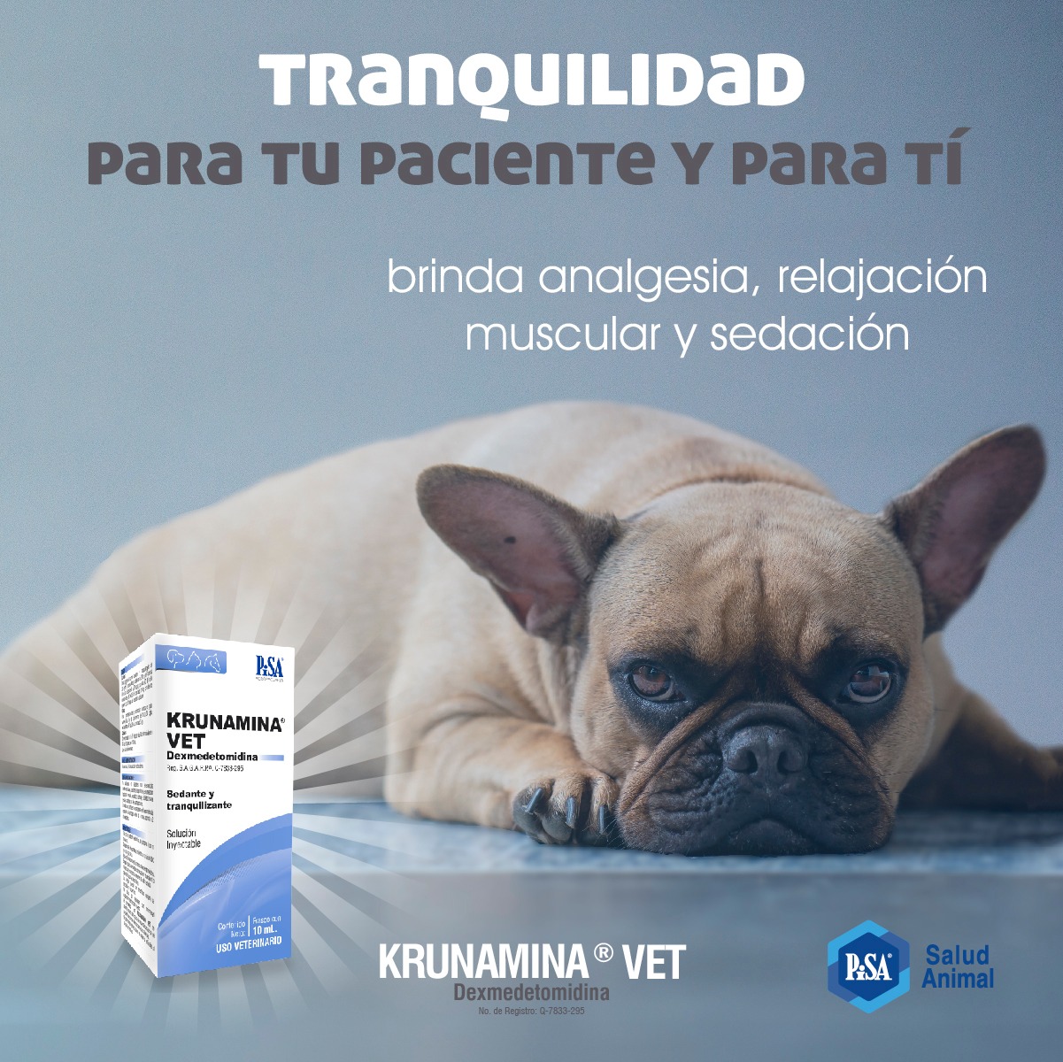 La dexmedetomidina tiene propiedades... - Pisa Salud Animal