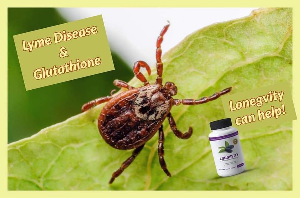 Does liposomal glutathione increase herx symptoms?