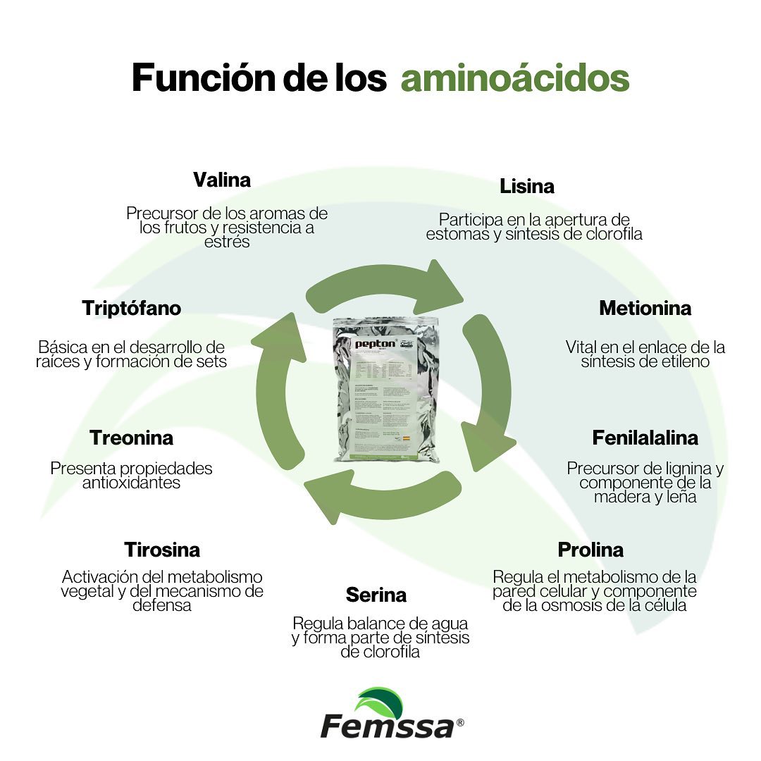 ¿Conoces la... - Femssa Fertilizantes y Bioestimulantes | Facebook