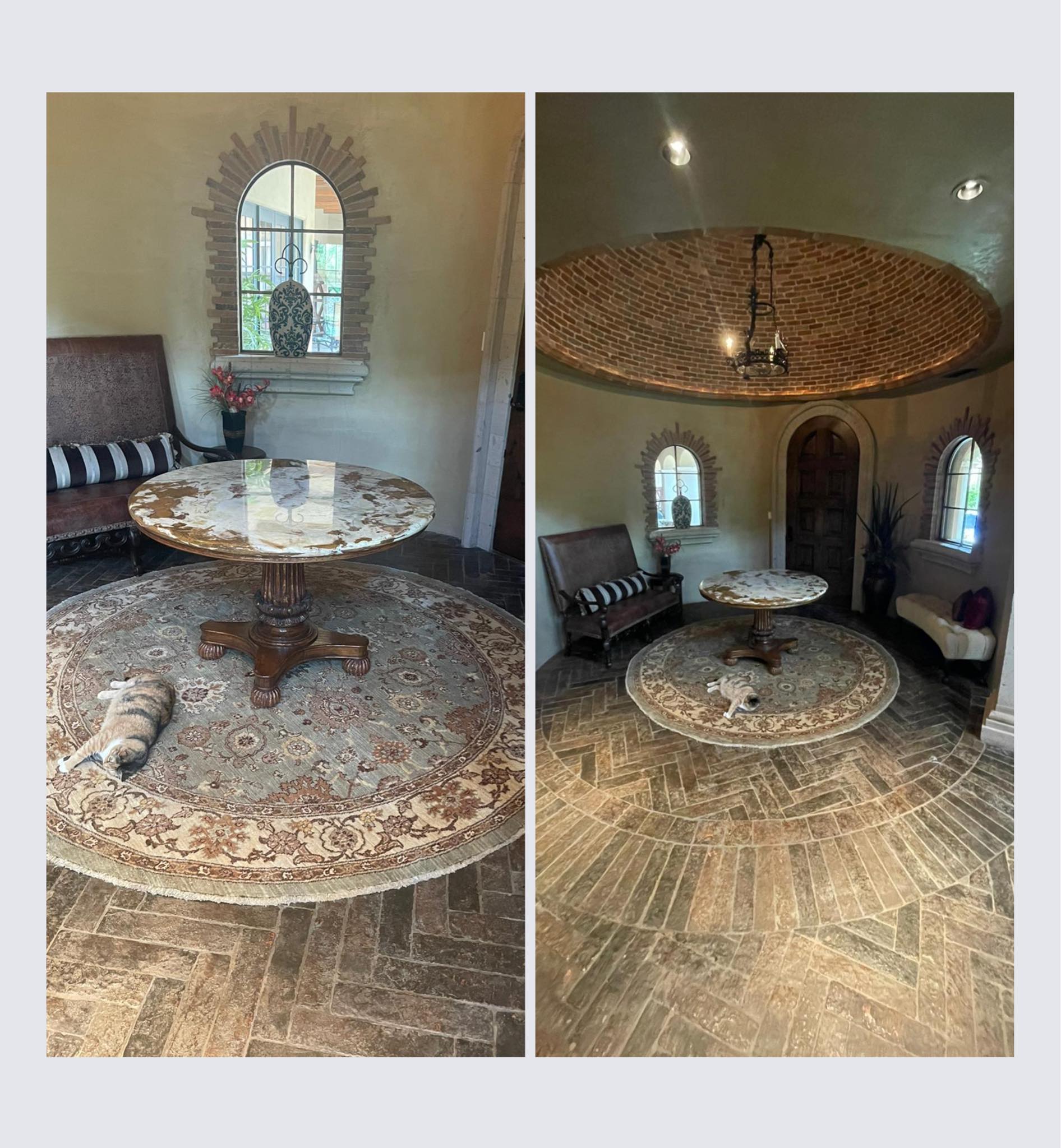 Say hello to our new friend, Chunky.... - Alyshaan Fine Rugs | Facebook