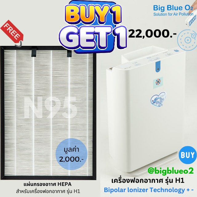 💙 คนเป็นภูมิแพ้ด้วยกัน... - เครื่องฟอกอากาศ Big Blue O2 | Facebook