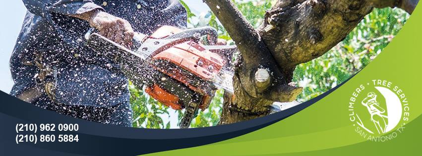 Climbers Tree Services SA
