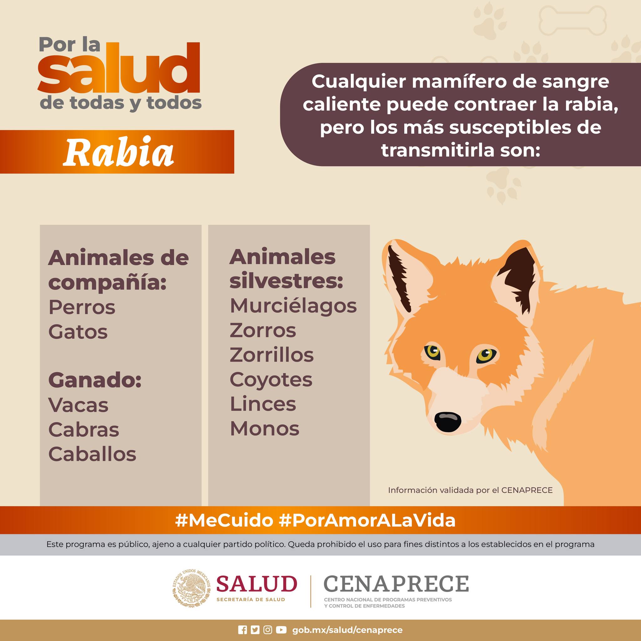 Secretaría - Datos sobre la #Rabia 🐾 La #Rabia es una zoonosis que ...