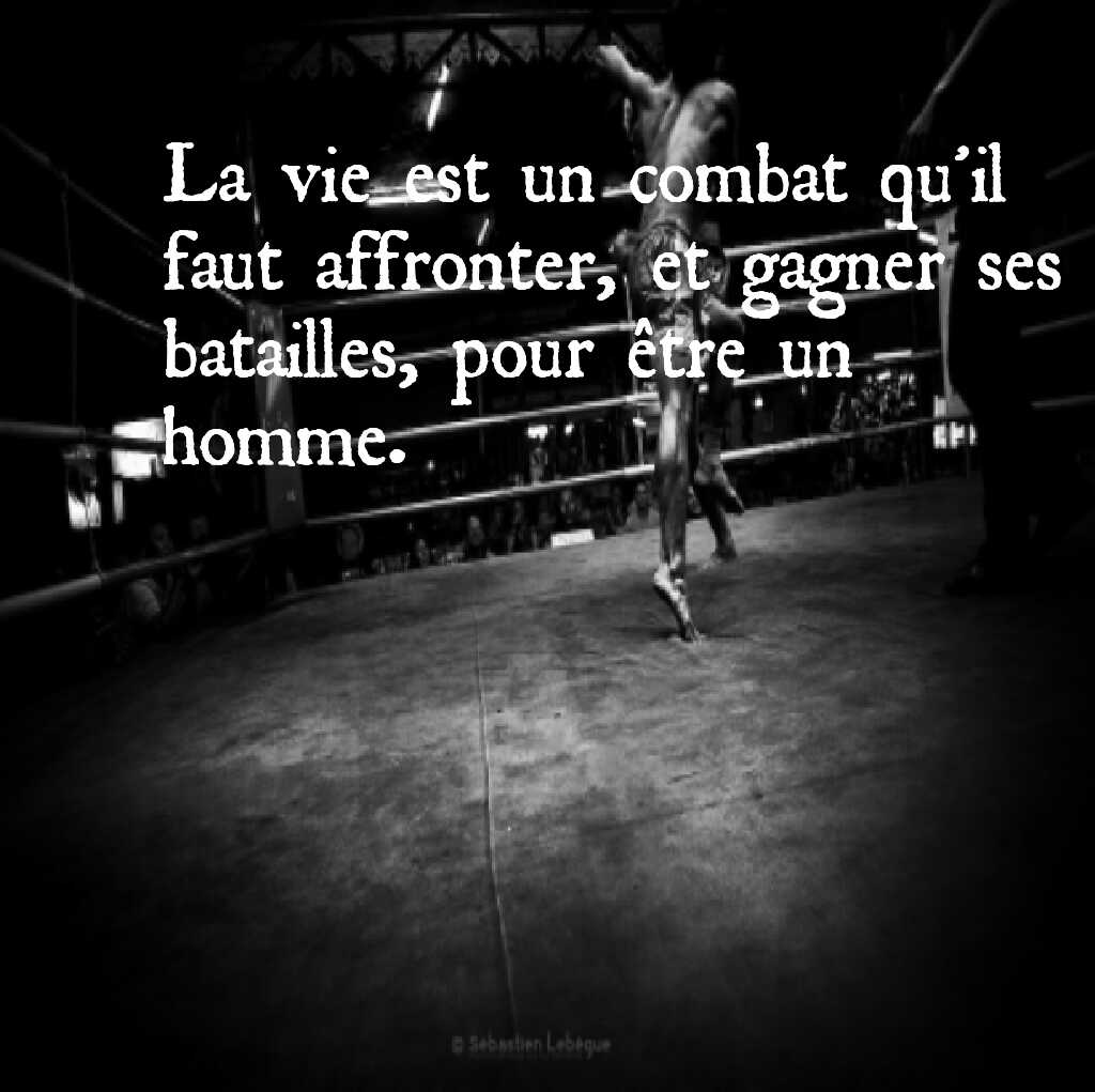 Citations De Boxe Et De Sport En General Photos Facebook