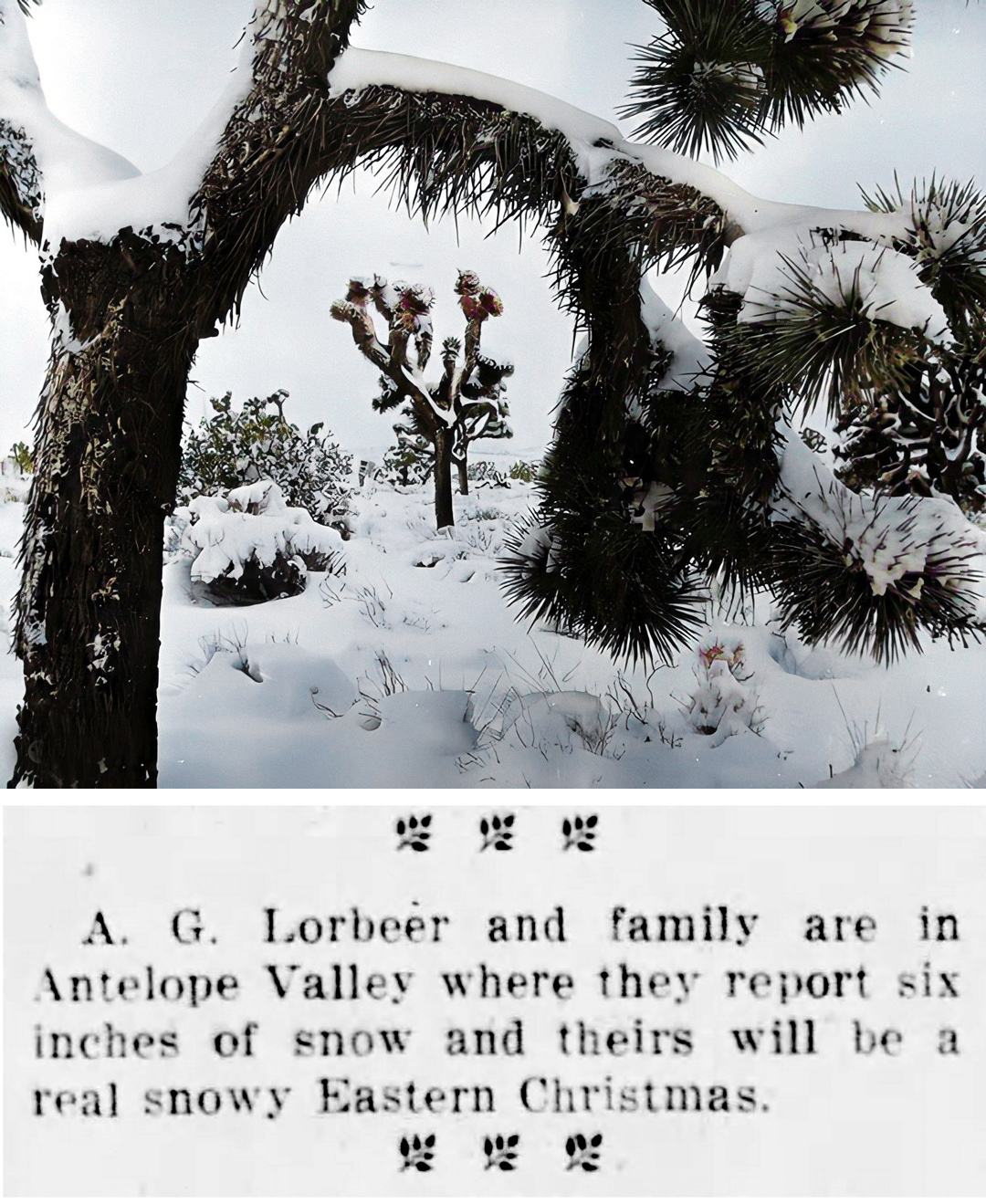 AV saw a white Christmas in 1914 when it began snowing in the