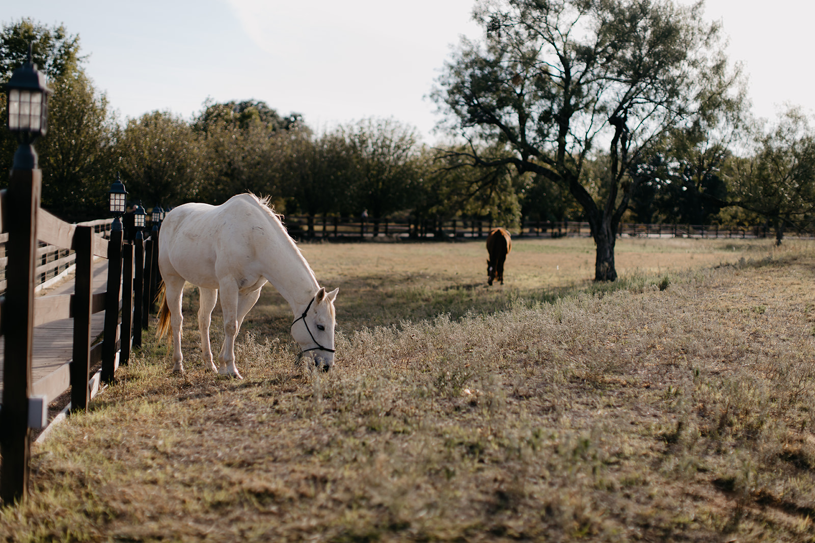 Memory Lane Ranch and Lodge... - Memory Lane Ranch and Lodge