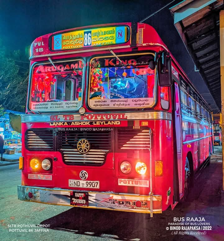 Paradise Of Passenger Buses 🇱🇰 | නැගෙනහිර කෙළවරෙන් යුධ භූමි හරහා තල් ...
