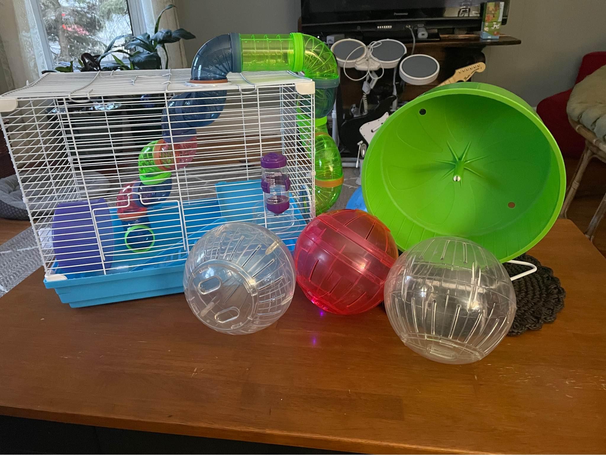 View of Hamster Cages for sale in Middleville, New York | Facebook Marketplace