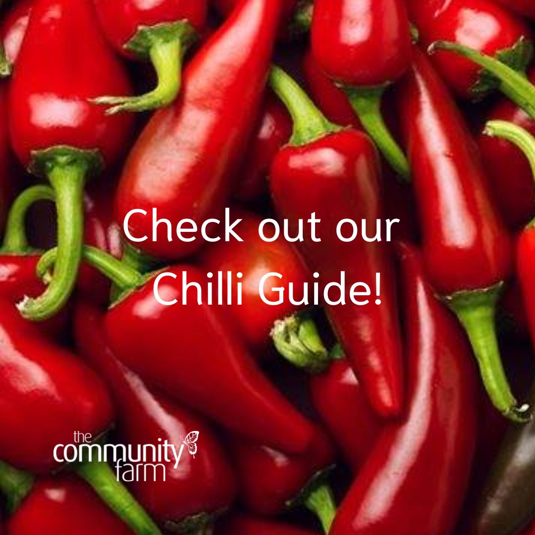 The Community - Make sure you're up to speed with our chilli varieties ...
