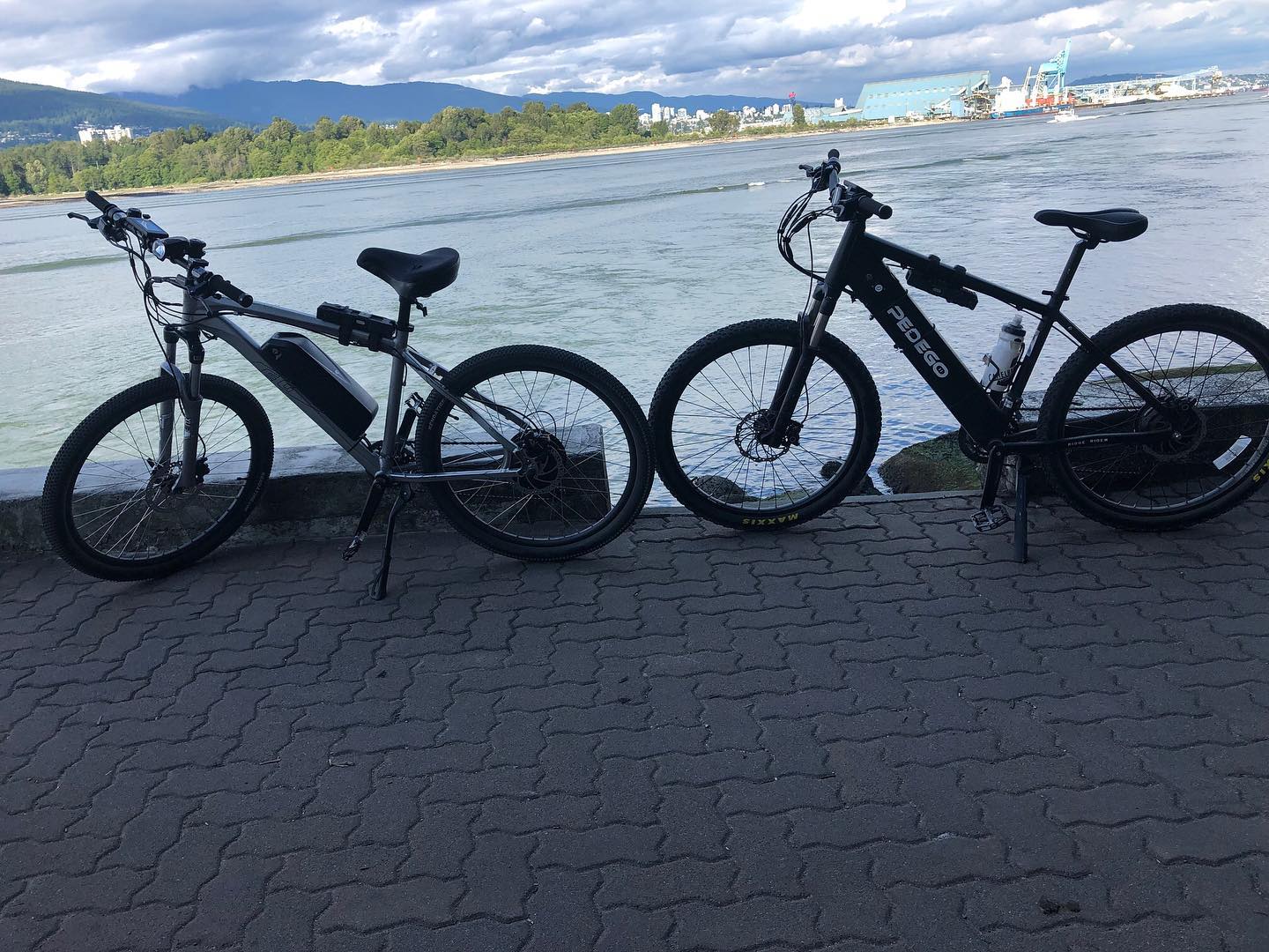 These 2 are inseparable Pedego... - Victoria Electric Bikes