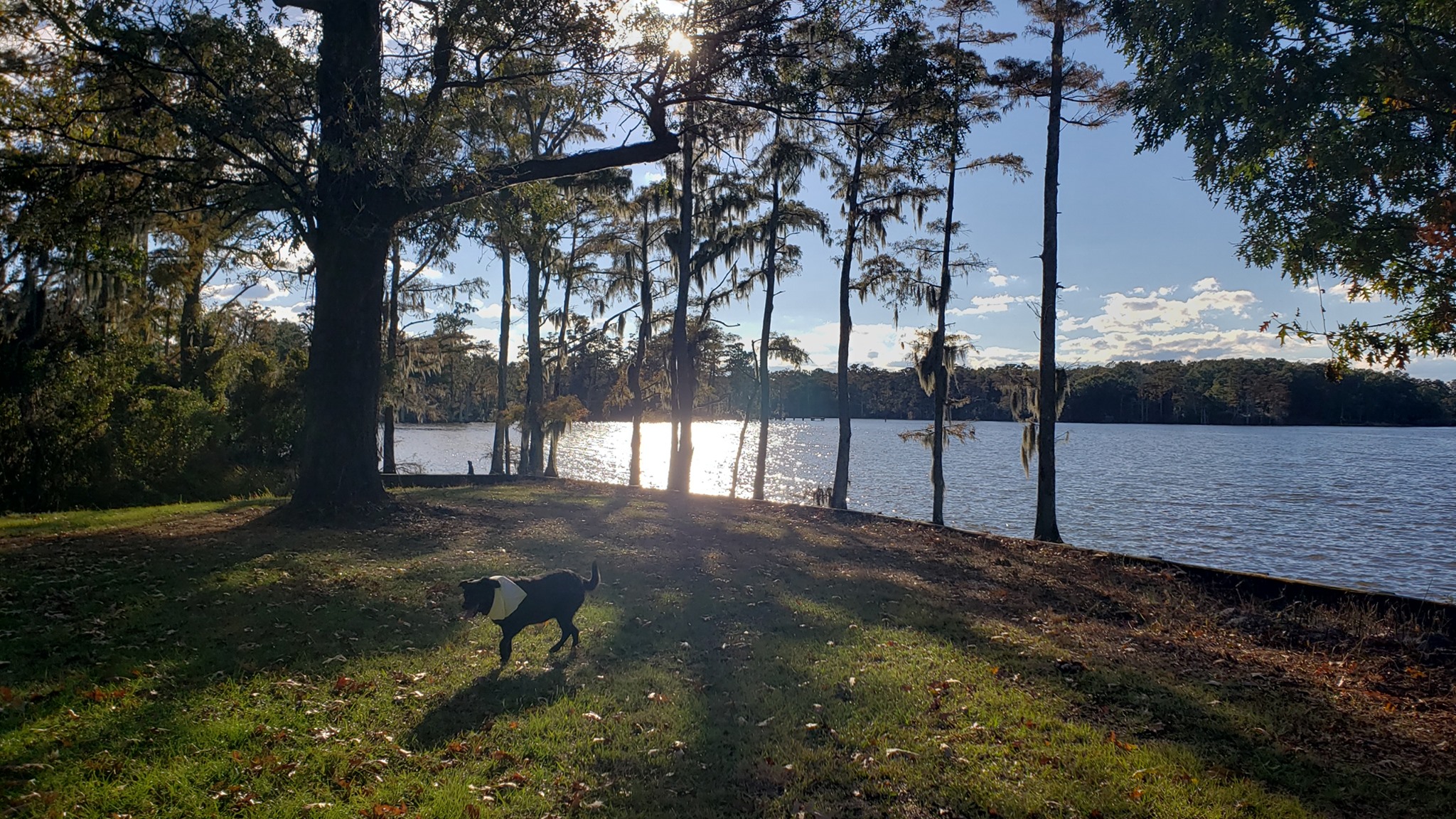 Edenton Point | Edenton NC