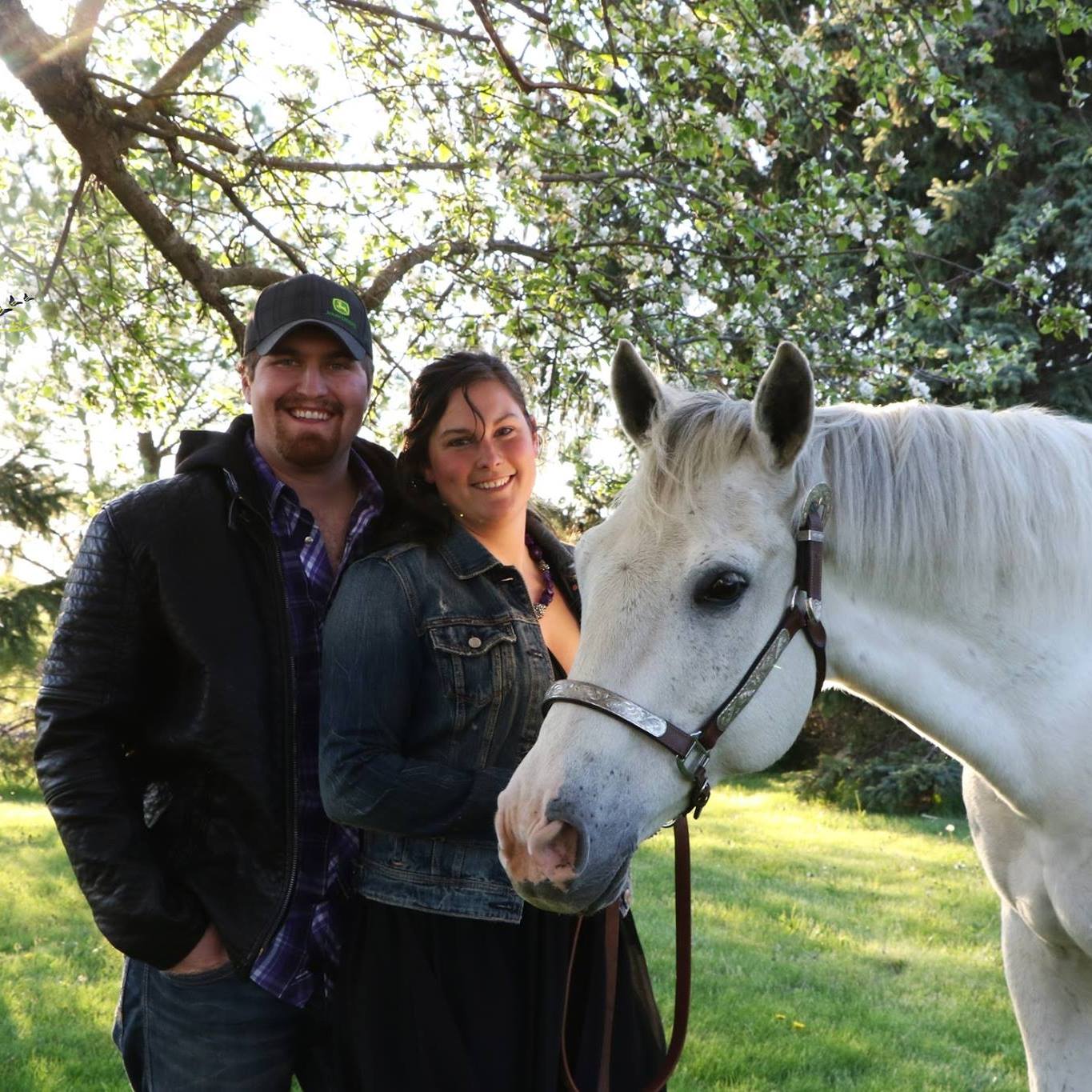 Equine Waterloo: Anything to do with Horses in Waterloo Region ...
