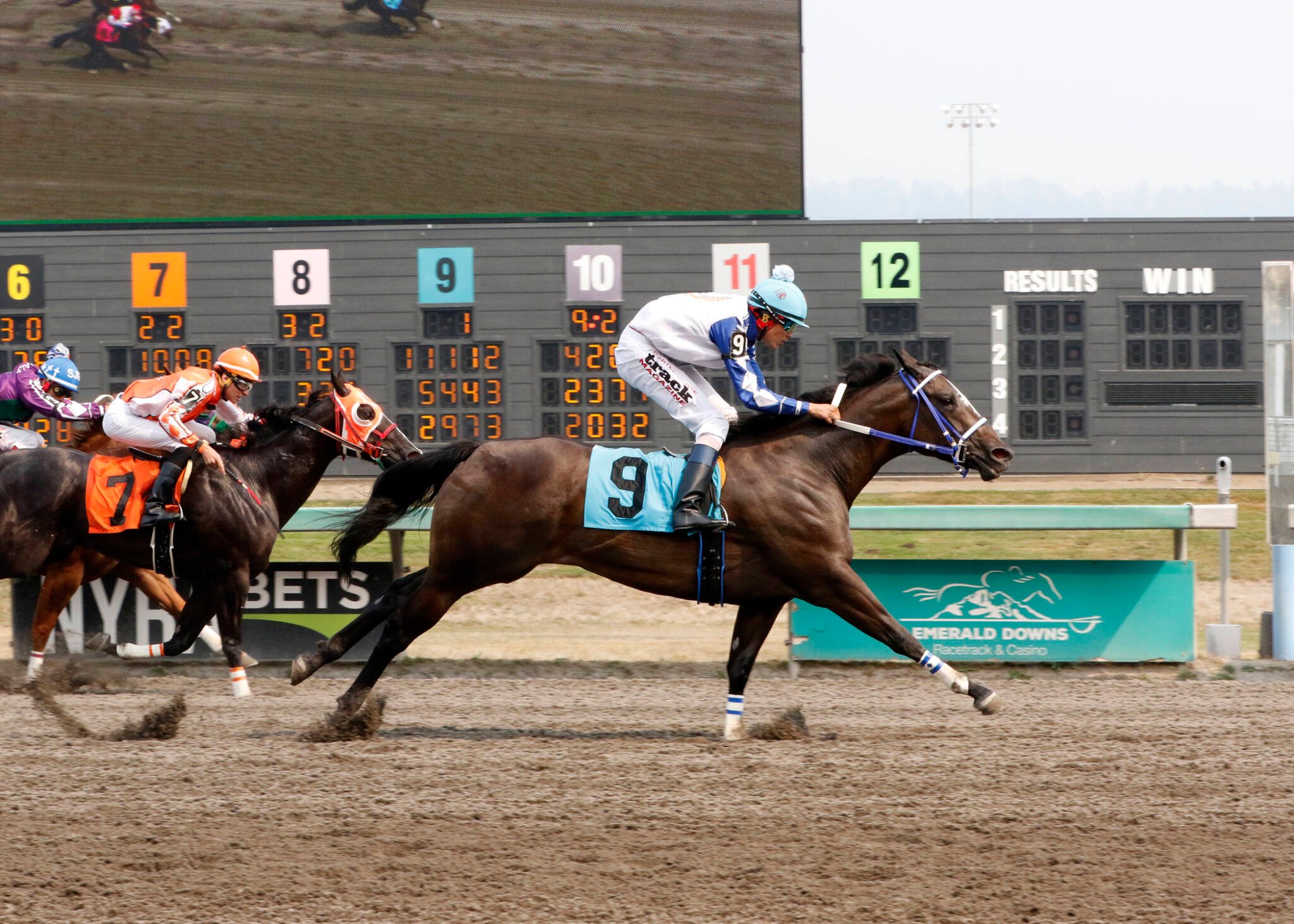 Emerald Coast colt out of AAA stakes producer mare