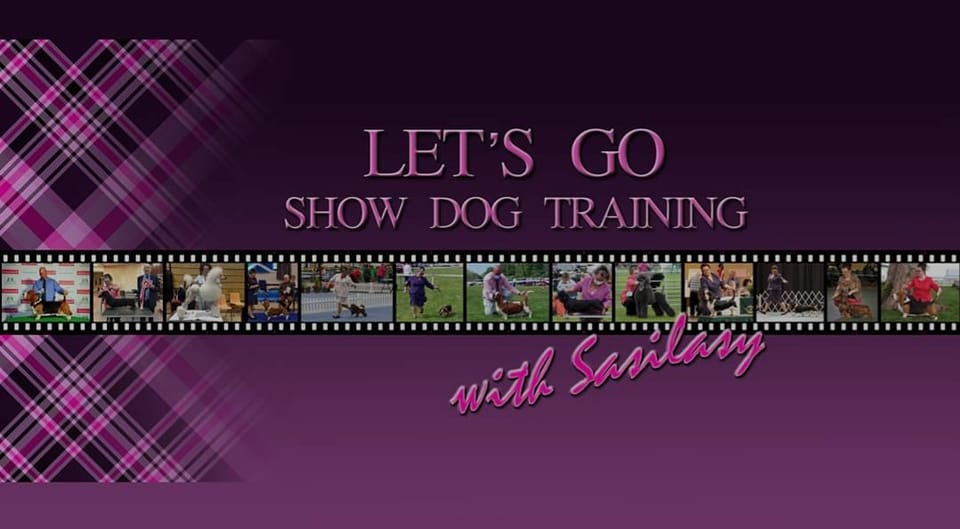Let's Go Show Dog Training | Facebook