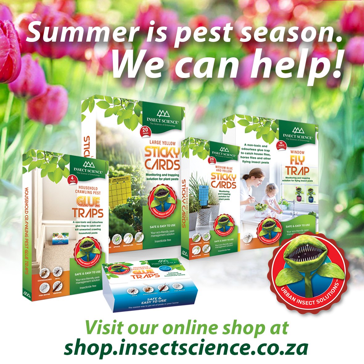Insect Science - It’s the Summer Solstice, which means... | Facebook