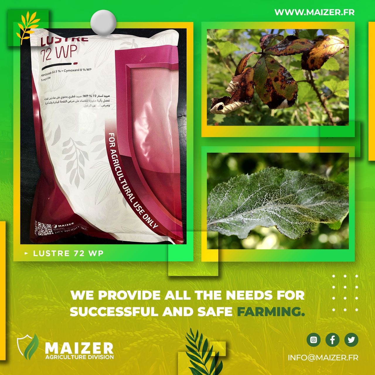 📌 “LEVERAGE by ICHIBAN CROP SCIENCE LTD. – Advanced Dual Action